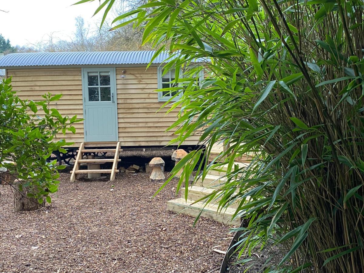 Chez Maurice Luxury Shepherds Hut With Bath And Hot Tub Kelling Ngoại thất bức ảnh